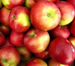 Fresh Mcintosh Apples, 5 lbs Tote 