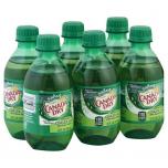 Canada Dry - Ginger Ale 2010