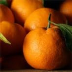 Mandarins - satsuma 3lb 0