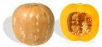 Produce - Calabaza Squash 0