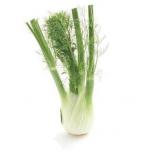 Produce - Fennel / Anise (Bulb Sizes May Vary) 0