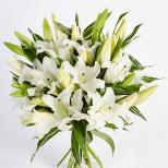 Flowers - Oriental Lily Bouquet 0