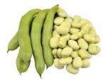 Produce - Fava Beans 1 LB 0