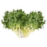 Produce - Lettuce Chicory Endive 1 Ct 0