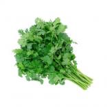 Produce - Cilantro Bunch 1 CT 0