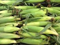 Produce - Corn 1 Ea