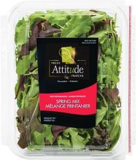 Produce - Fresh Attitude Spring Mix Clamshell 5 OZ