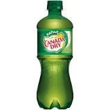 Canada Dry - Ginger Ale 20 Oz