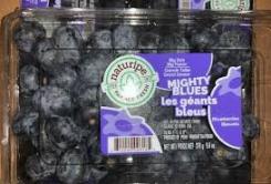 Naturipe - Mighty Blues Jumbo Blueberries 9.8 Oz 0