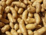 Produce - Fingerling Potatoes LB 0