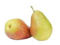 Produce - Forelle Pears LB