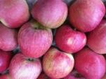 Produce - Stayman Apples LB 0