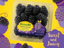 Driscoll's - Sweetest Batch Blackberries 6 Oz 0