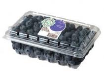 Produce - Blueberries 1 Pint 0