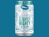 Dogfish Head Brewery - Dogfish Head Slightly Mighty Lo Cal IPA (12 pack cans) (12 pack cans)