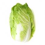 Produce - Napa Cabbage LB 0