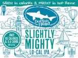 Dogfish Head Brewery - Slightly Mighty Lo-Cal IPA 6 Pk 0 (66)