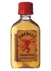 Fireball -  Cinnamon Whiskey 50ml 10 Pack (50ml)