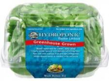 Produce - Boston Lettuce Hydroponic Clamshell 1 CT 0