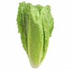 Produce - Lettuce Romaine 1 CT 0