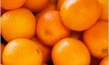 Produce - Cara Cara Navel Oranges 1 CT 0