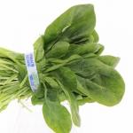 Produce - Spinach Bunch 1 CT 0