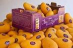 Produce - Champagne Mango 1 CT 0